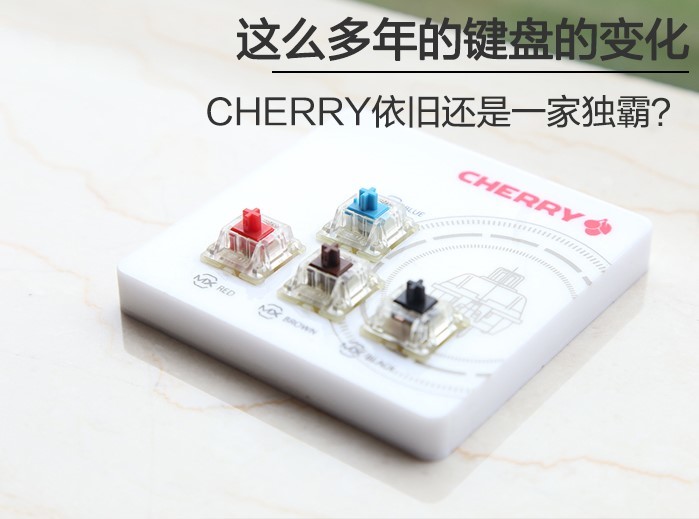 herry一家独大 这将是未来走向澳门新葡京机械键盘市场早已不是C(图12)